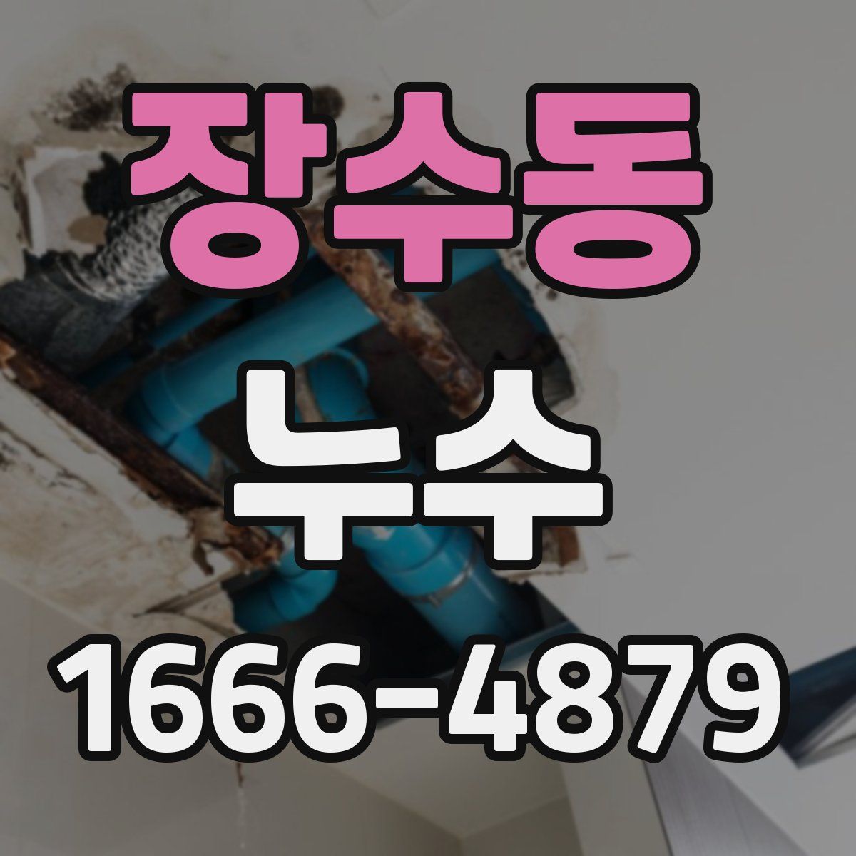 장수동 누수