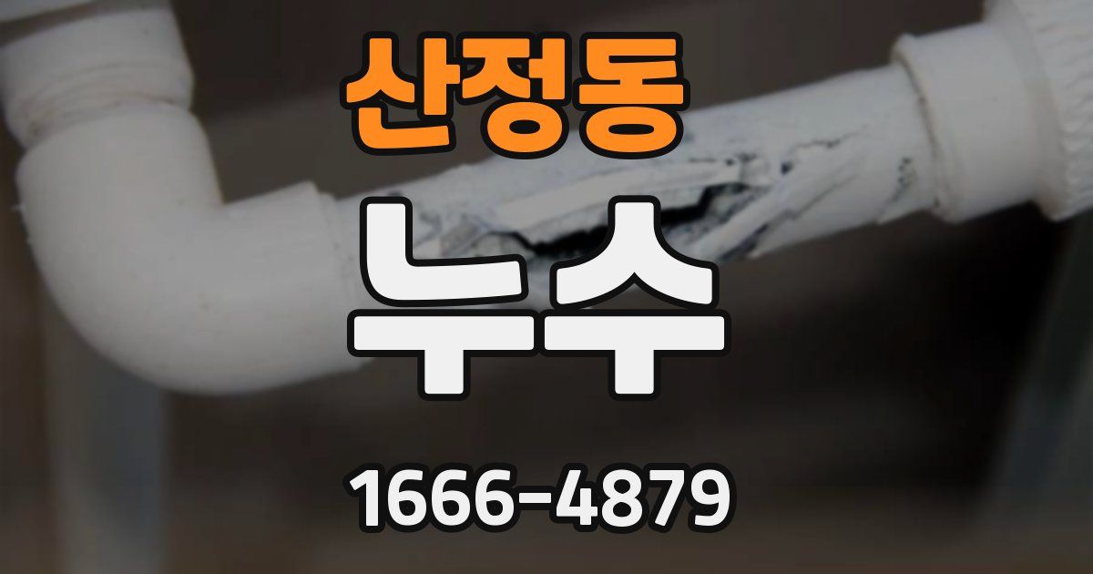 산정동 누수