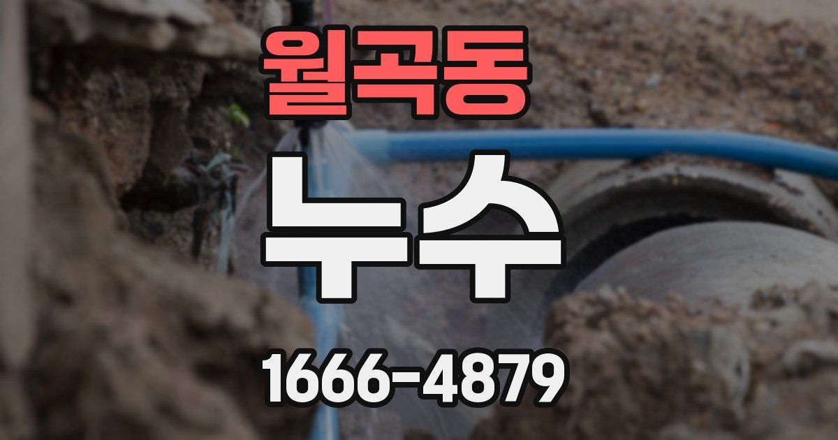 월곡동 누수