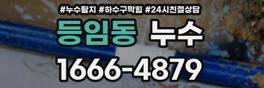 등임동 누수