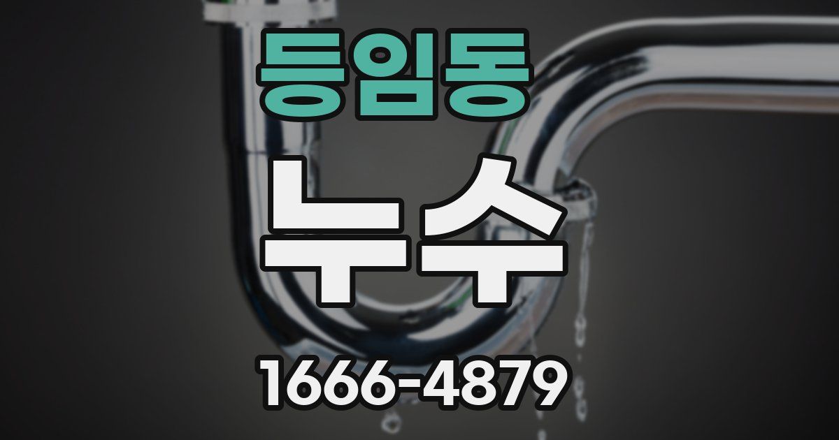 등임동 누수