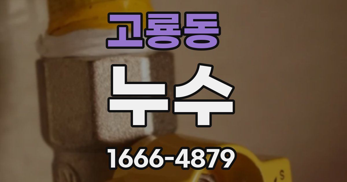 고룡동 누수