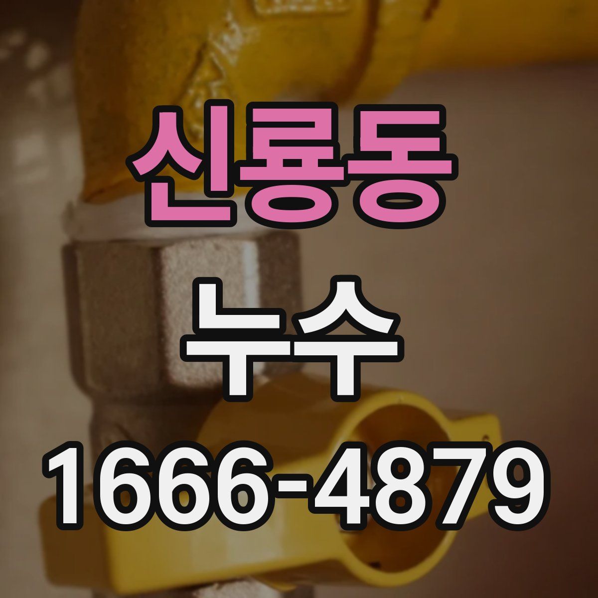신룡동 누수