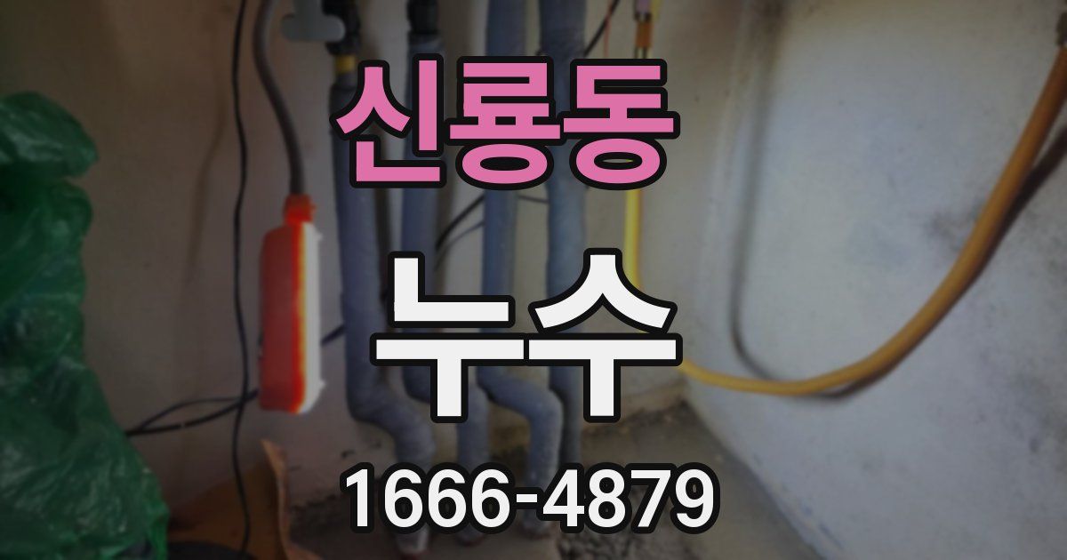 신룡동 누수
