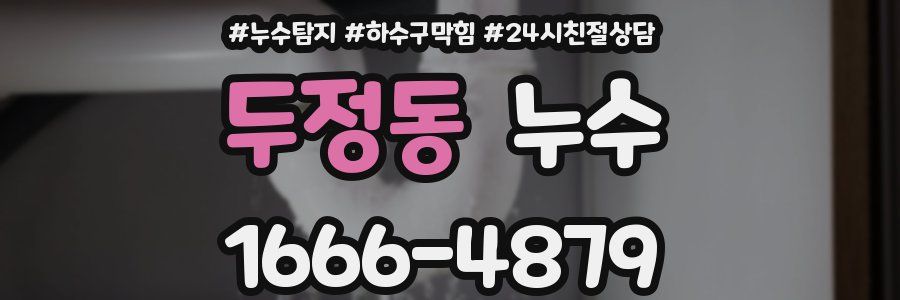 두정동 누수
