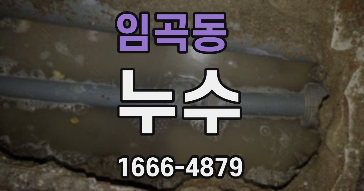 임곡동 누수