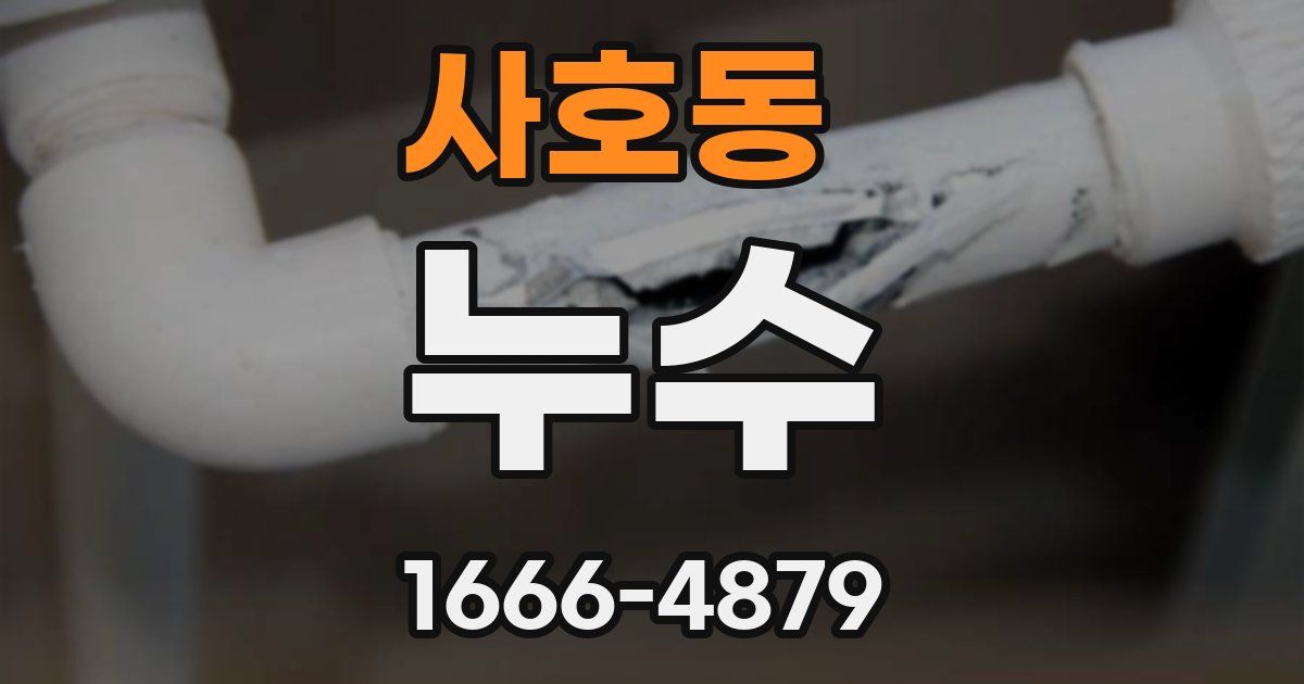 사호동 누수