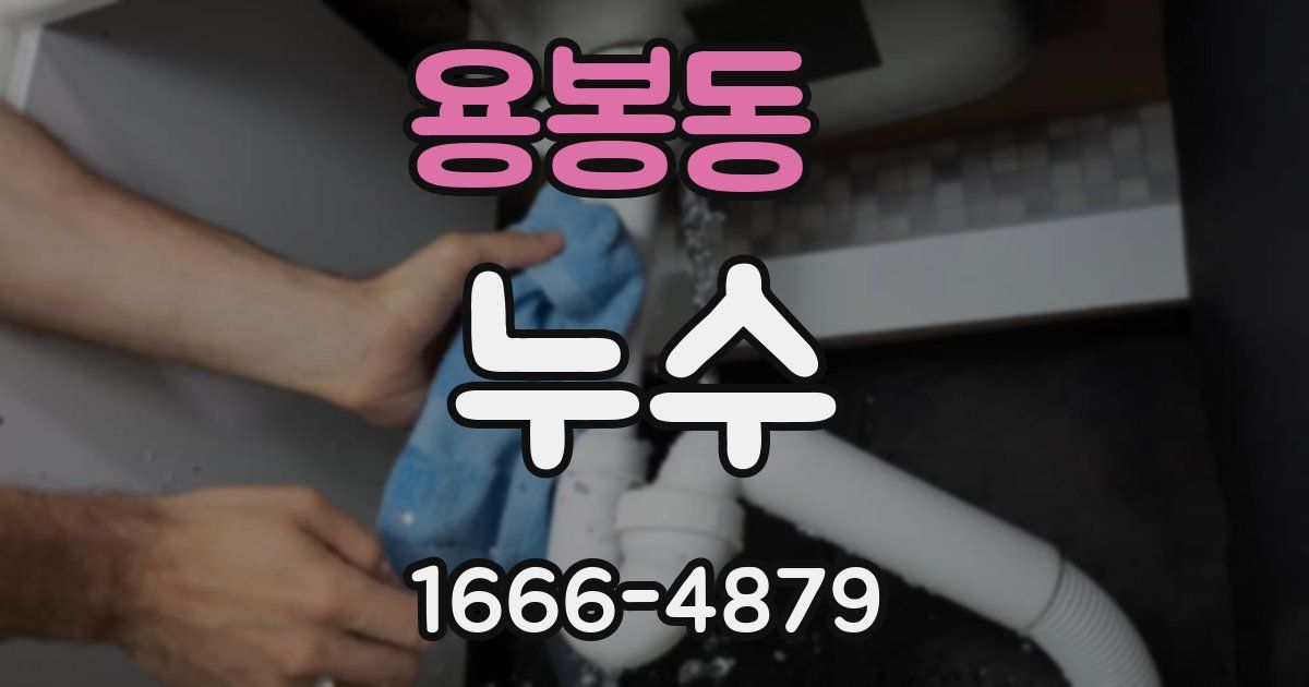 용봉동 누수