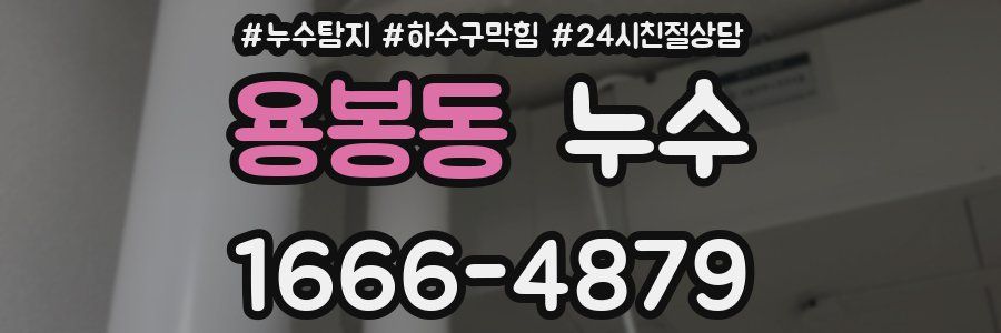 용봉동 누수