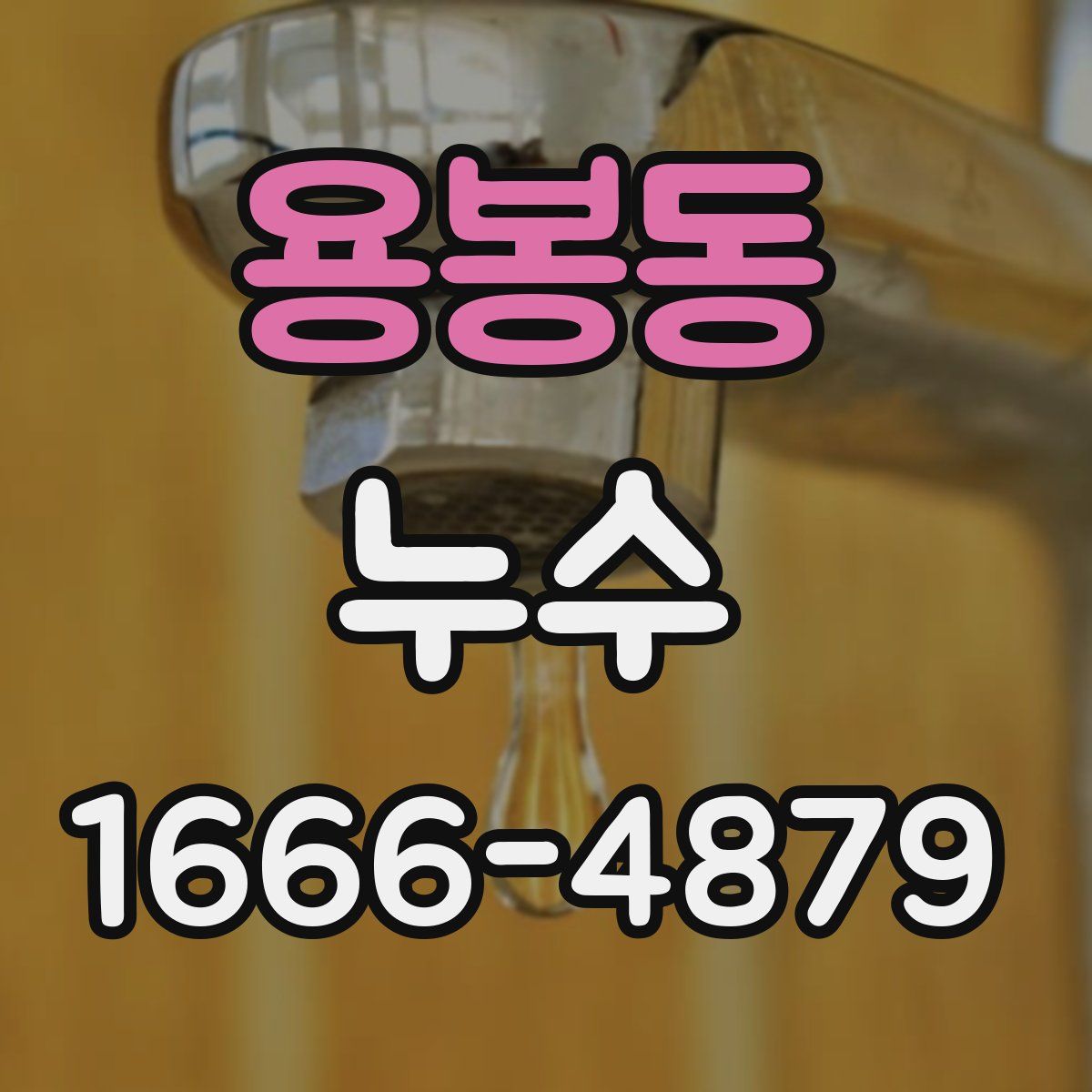 용봉동 누수