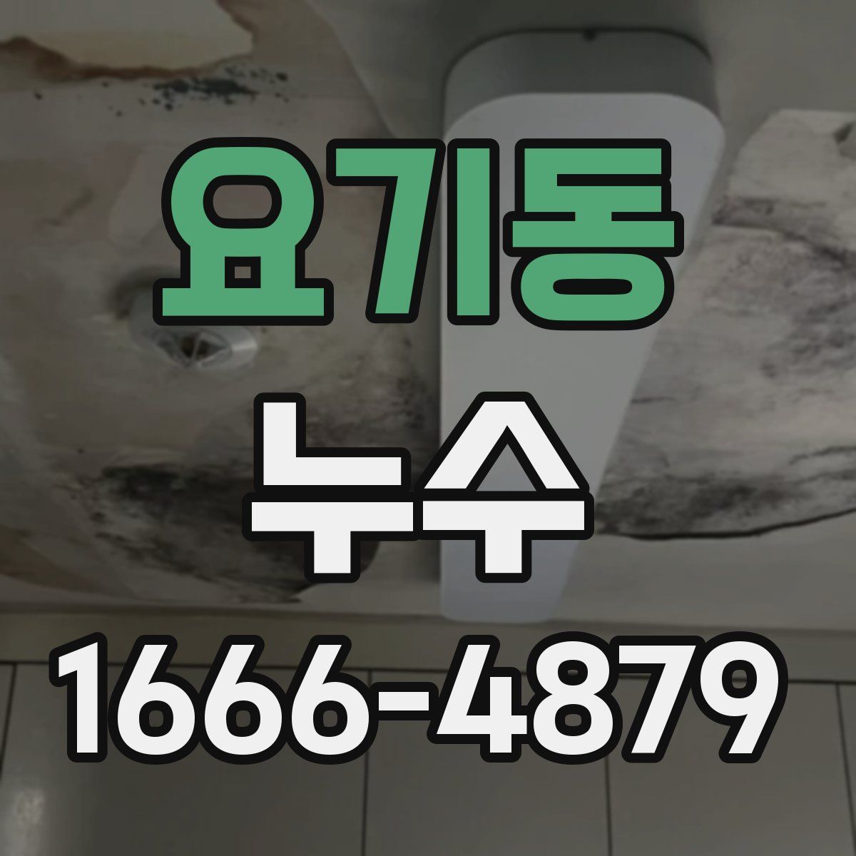 요기동 누수