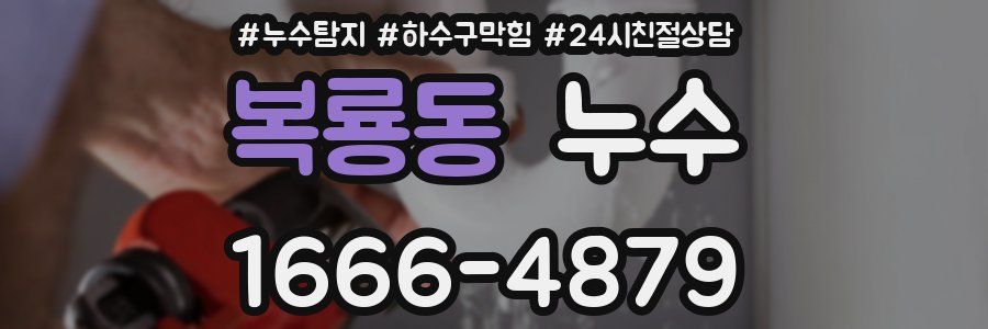복룡동 누수