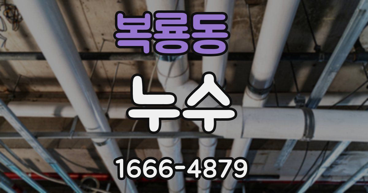 복룡동 누수