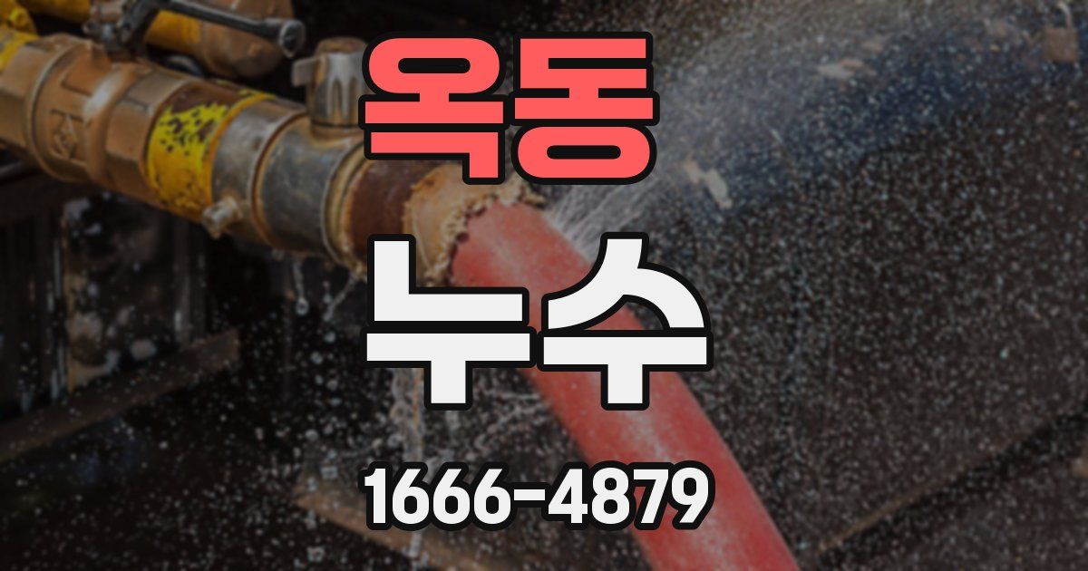 옥동 누수