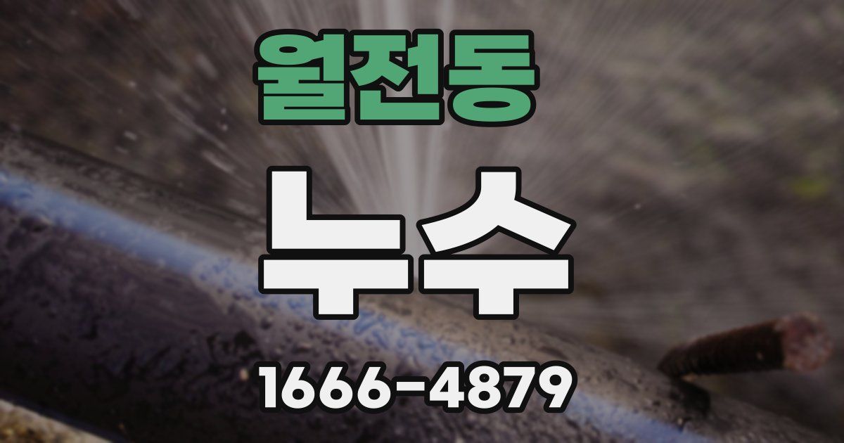 월전동 누수