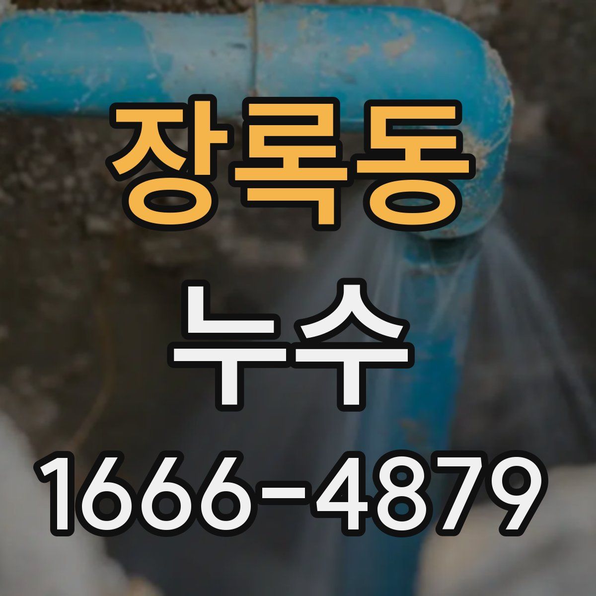 장록동 누수
