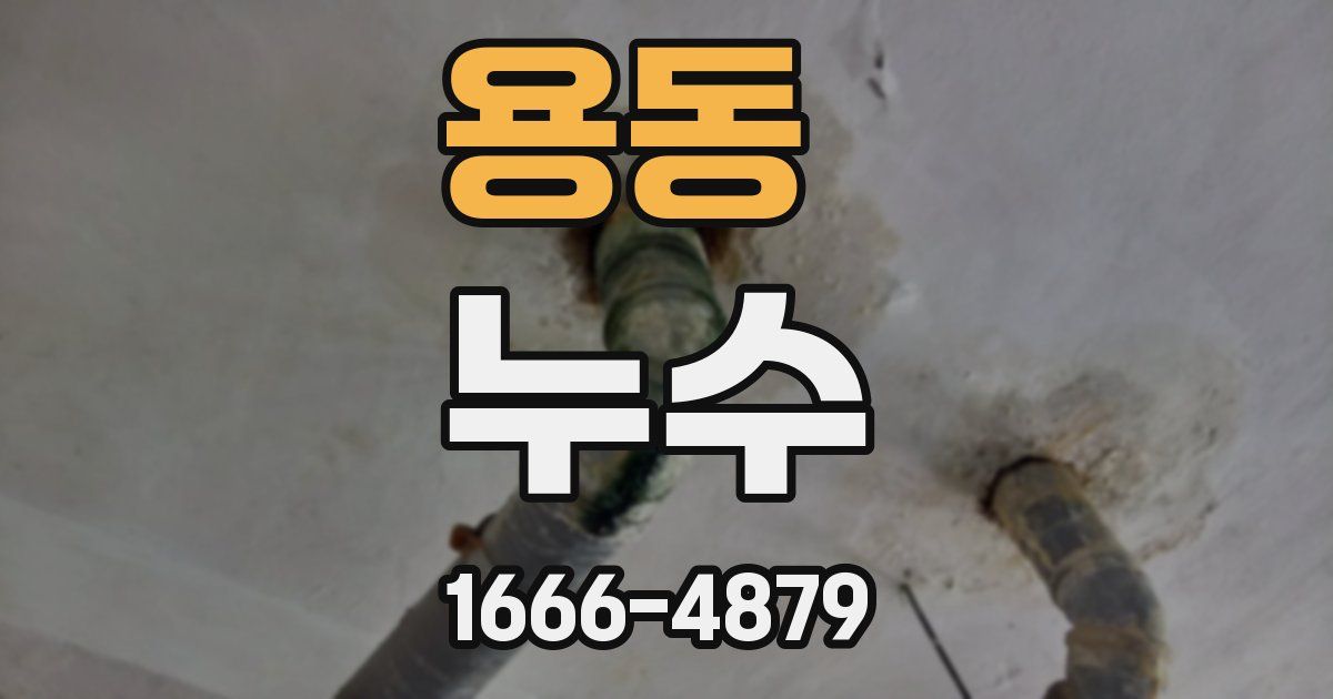 용동 누수