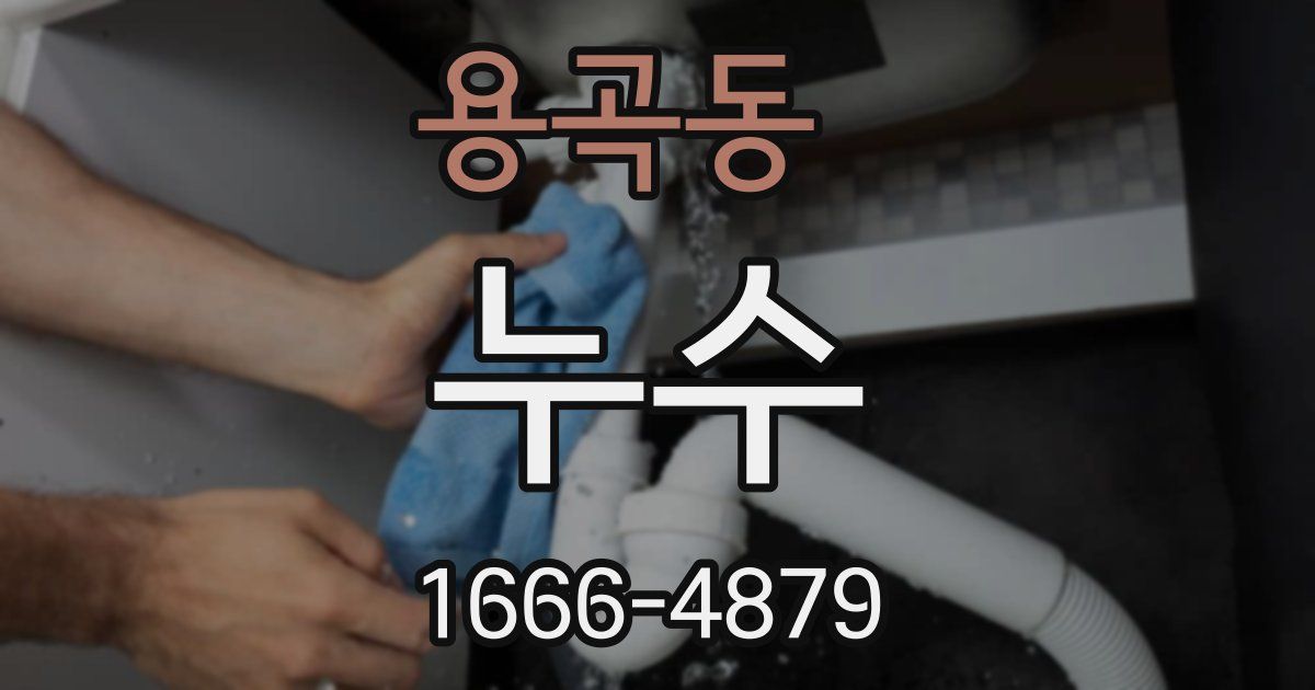용곡동 누수