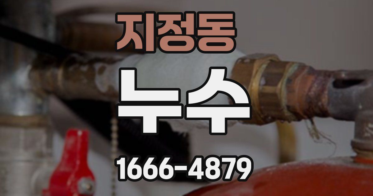 지정동 누수