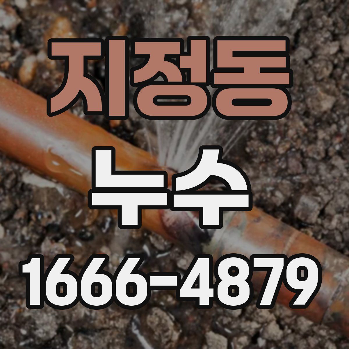 지정동 누수