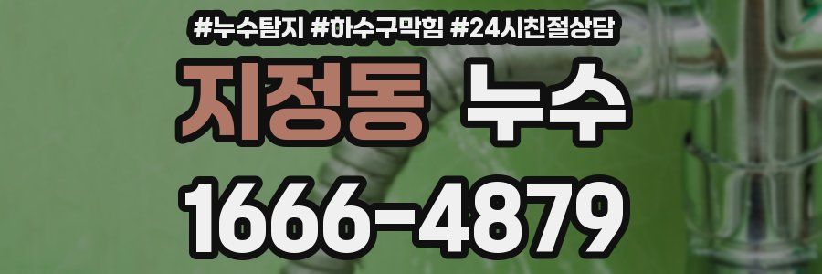 지정동 누수
