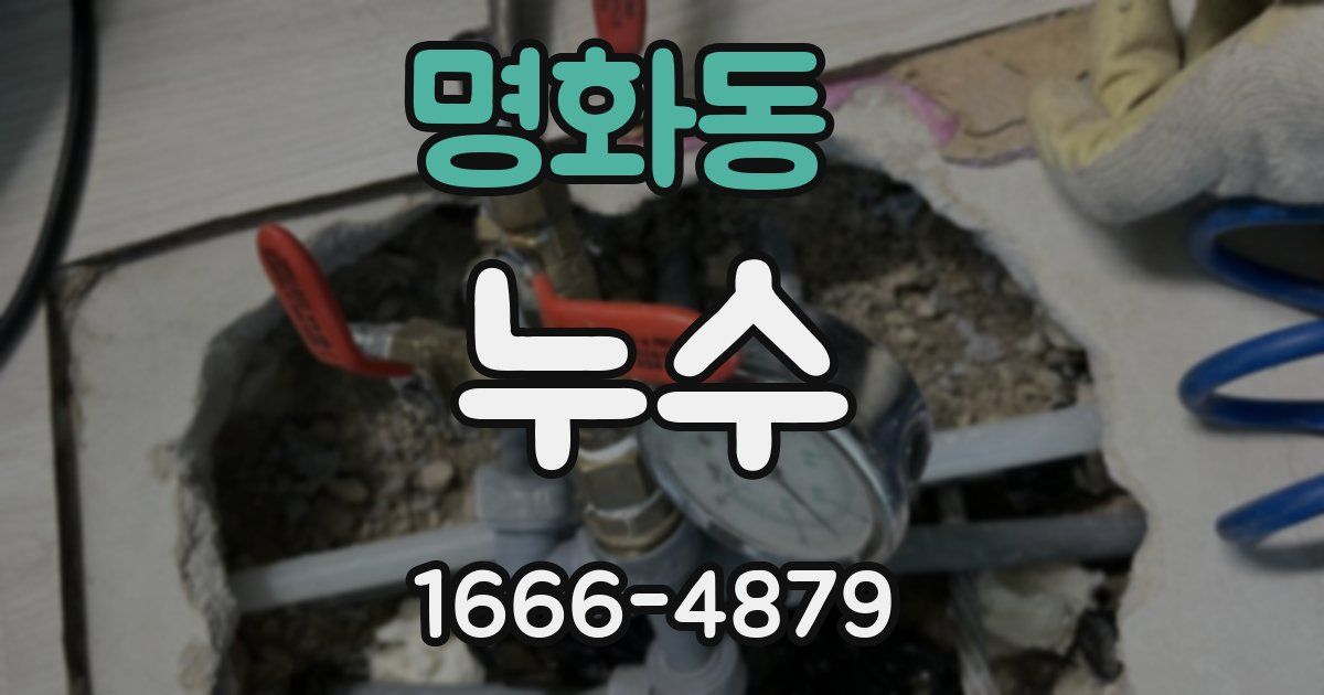 명화동 누수