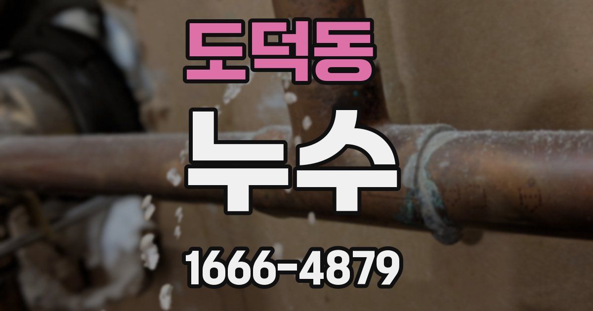 도덕동 누수