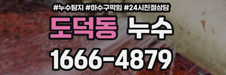 도덕동 누수