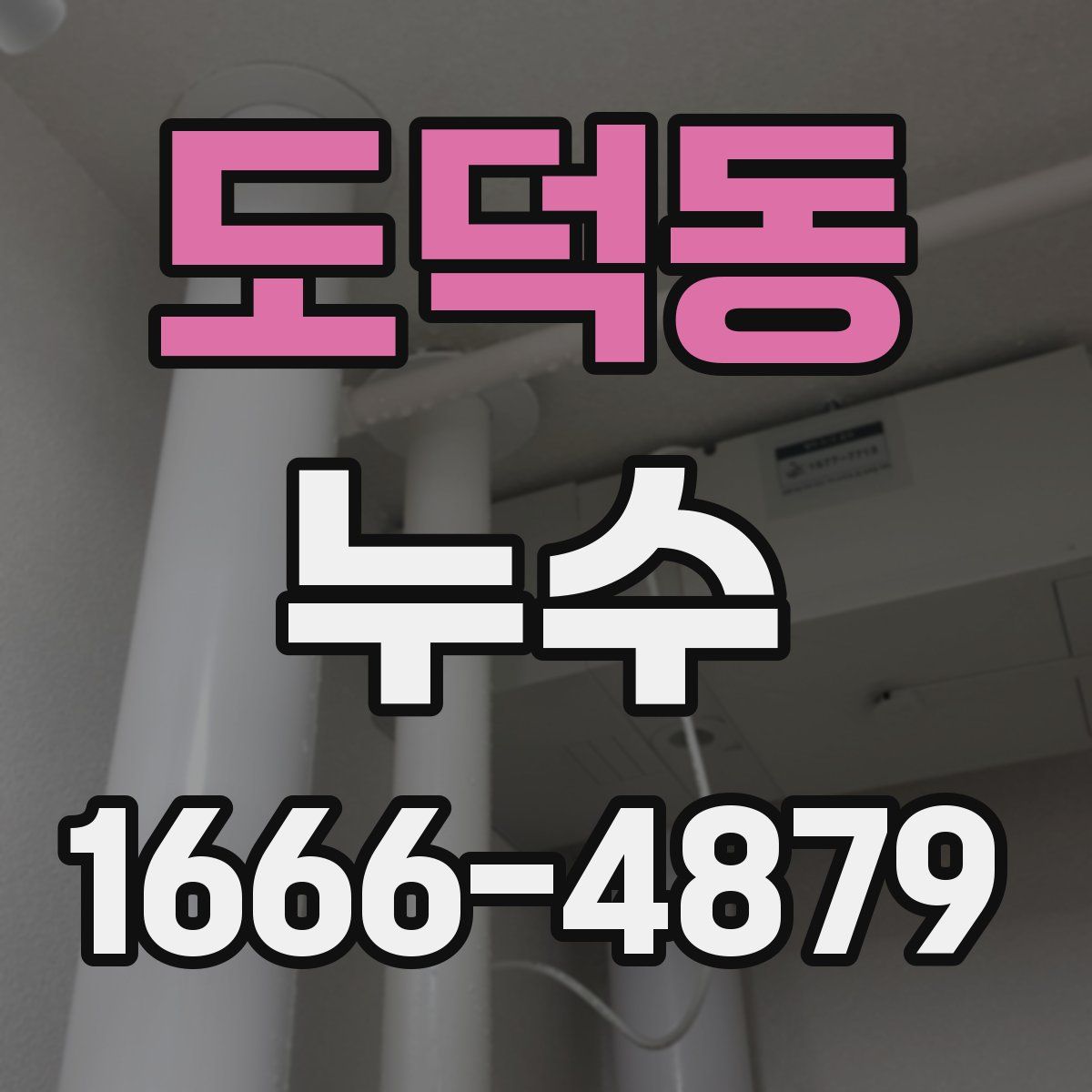 도덕동 누수