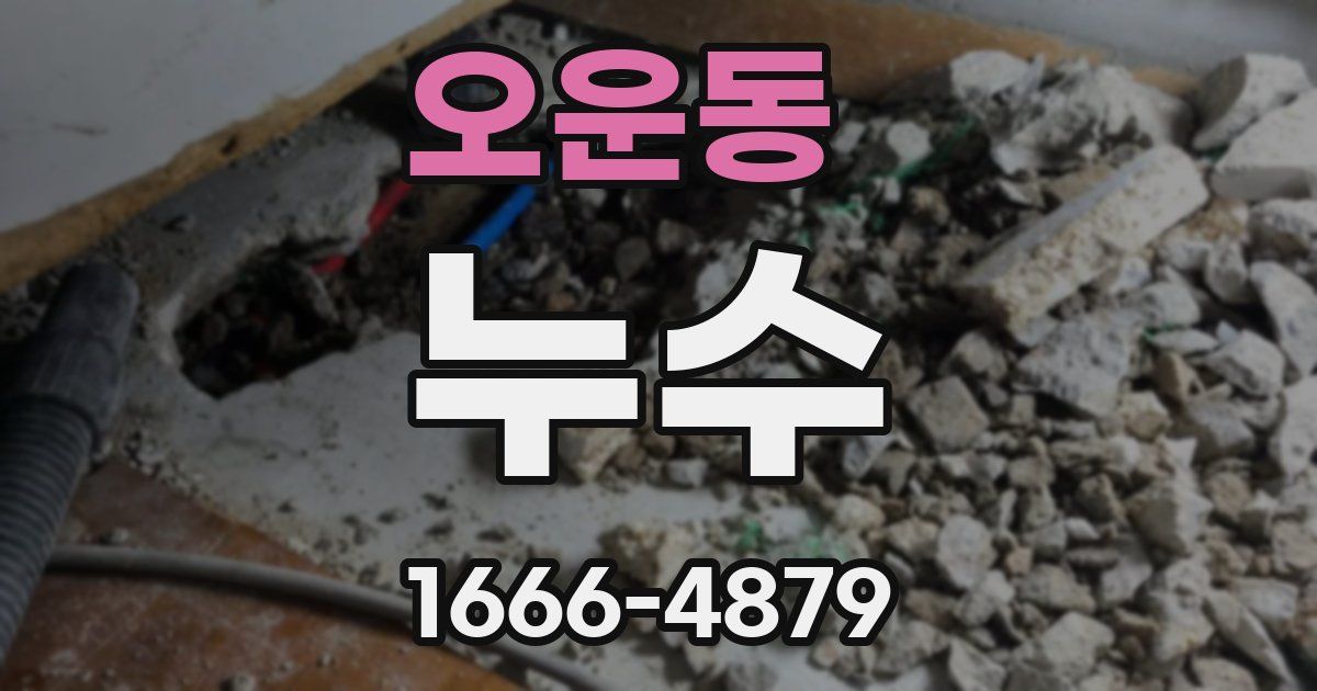 오운동 누수