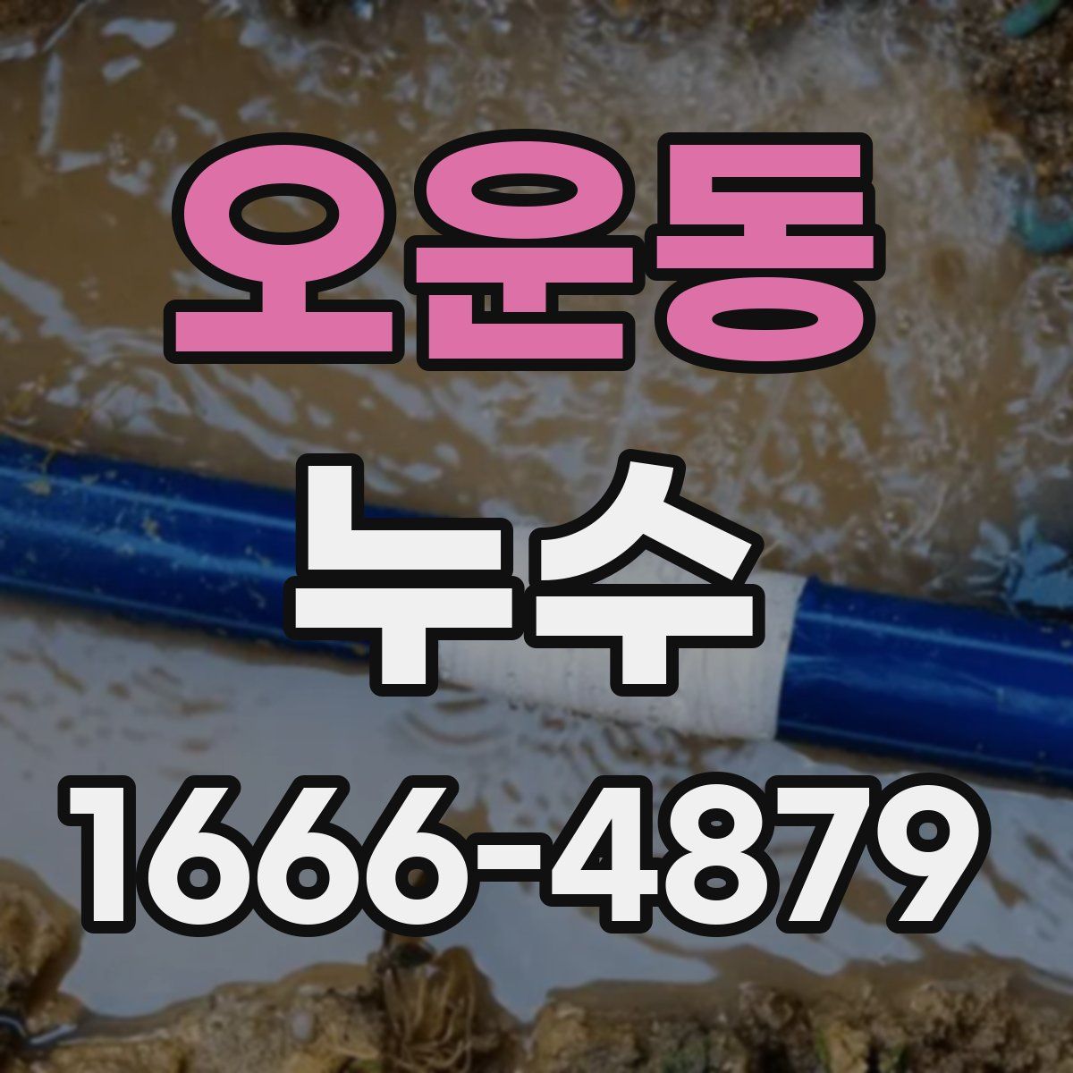 오운동 누수