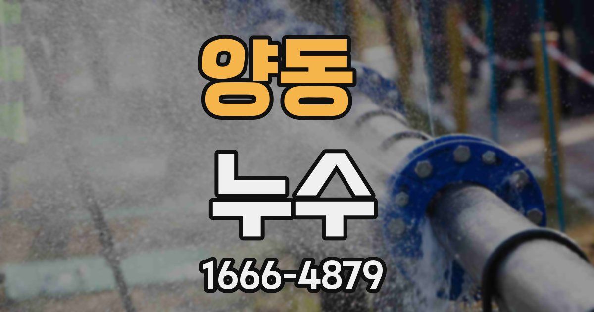 양동 누수