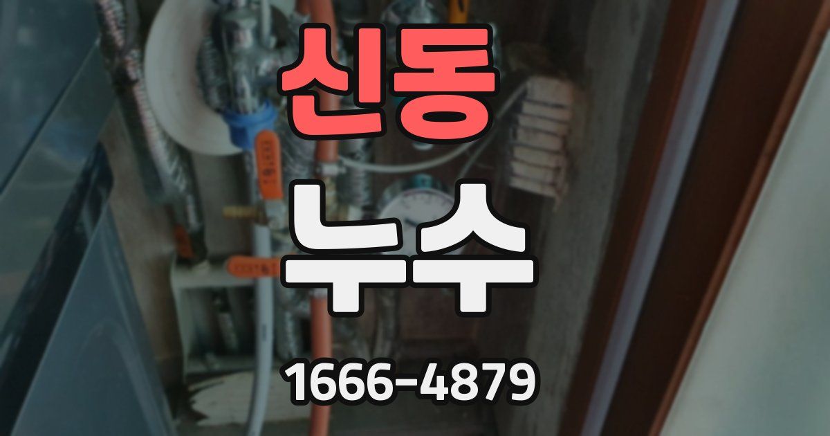 신동 누수