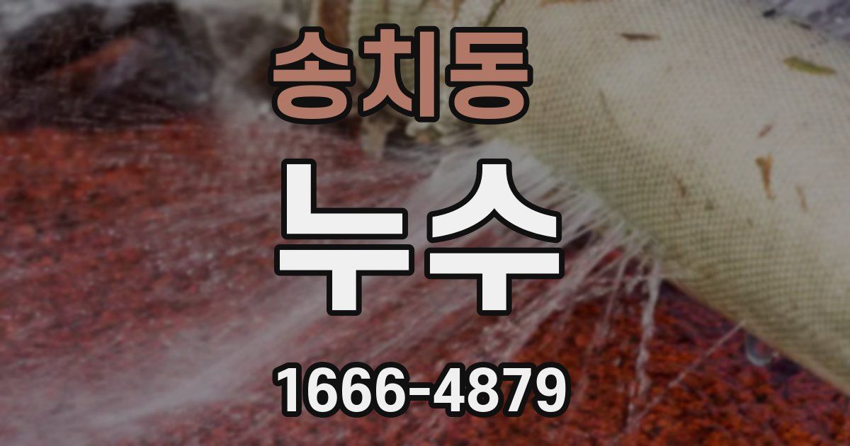 송치동 누수