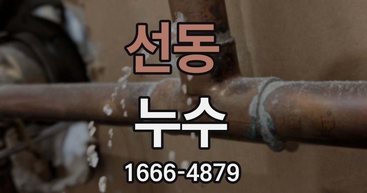 선동 누수