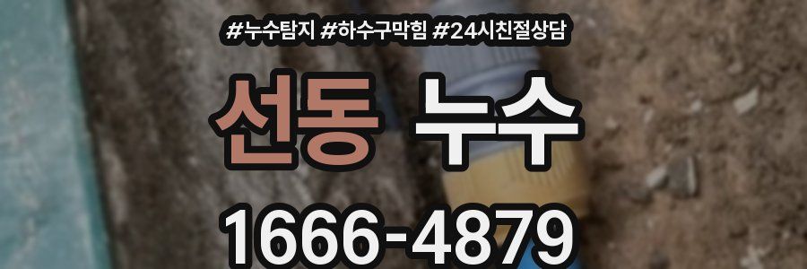 선동 누수