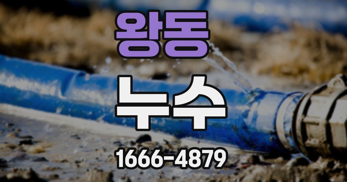 왕동 누수
