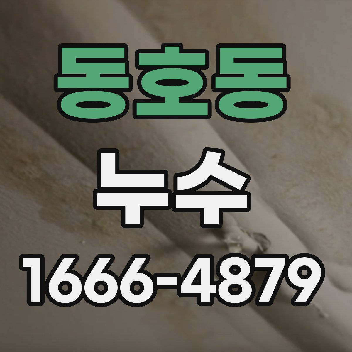 동호동 누수