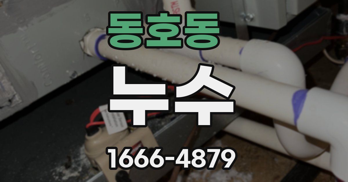 동호동 누수