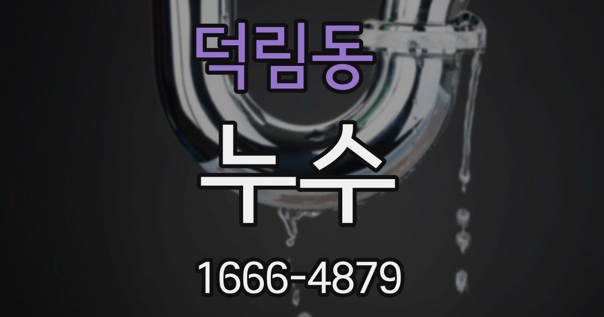 덕림동 누수