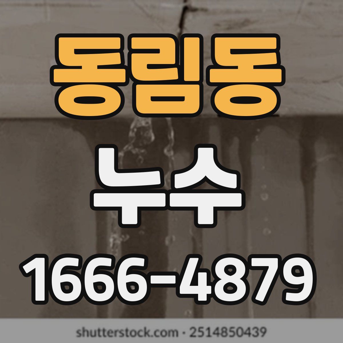 동림동 누수