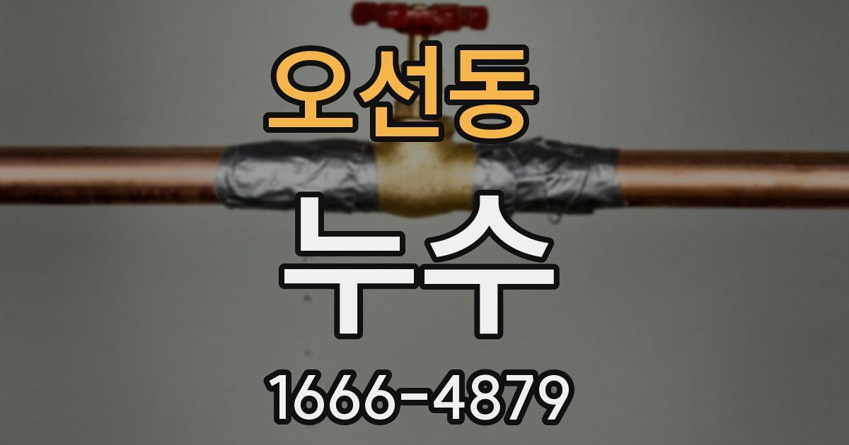 오선동 누수