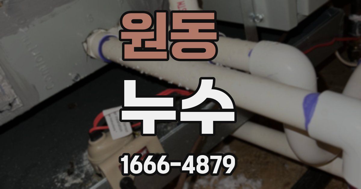 원동 누수