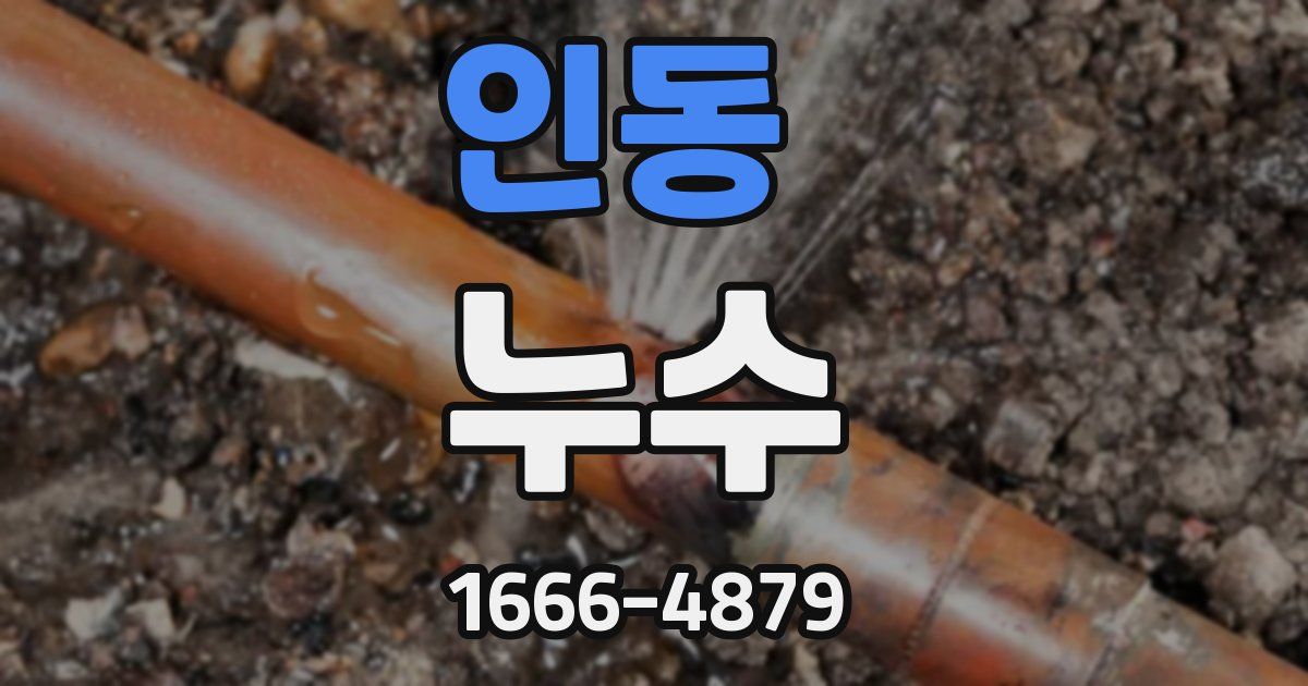 인동 누수
