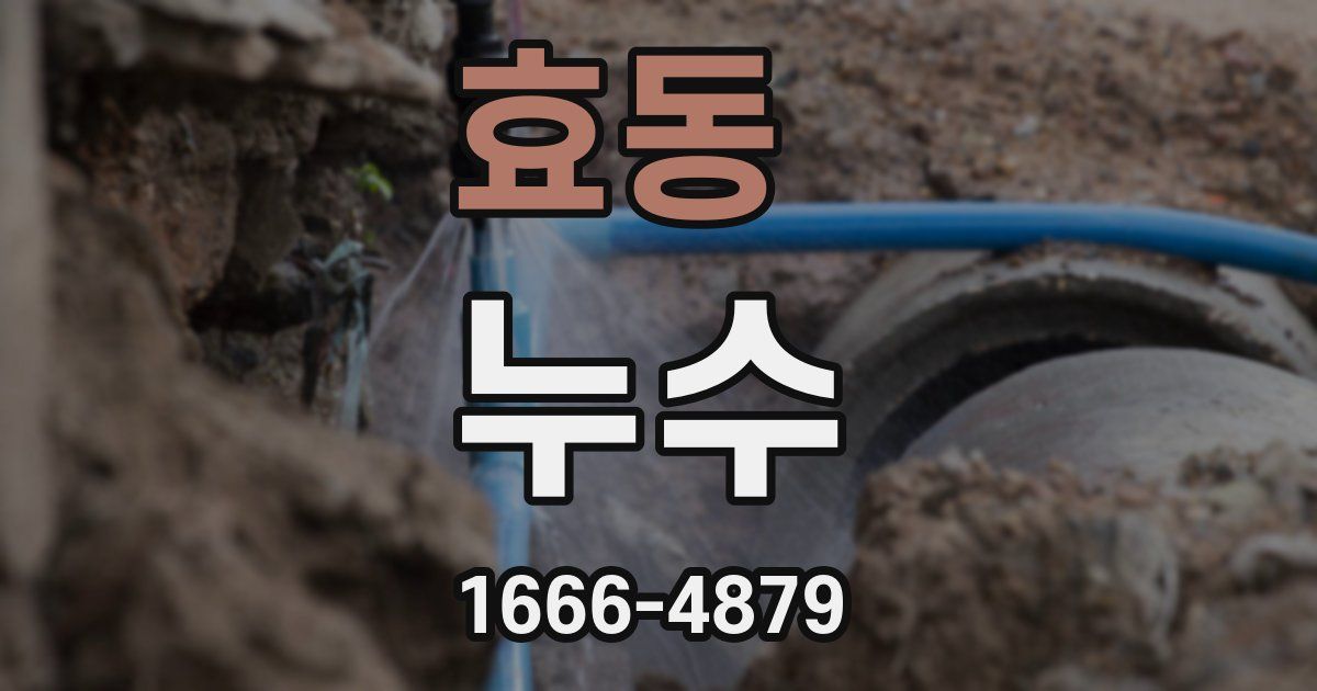 효동 누수