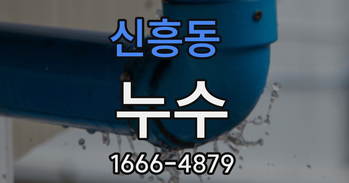 신흥동 누수