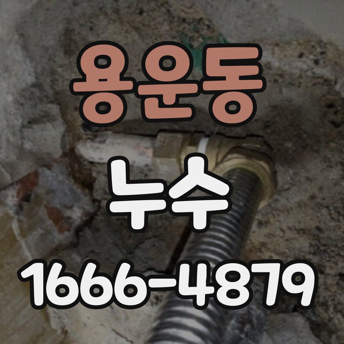 용운동 누수