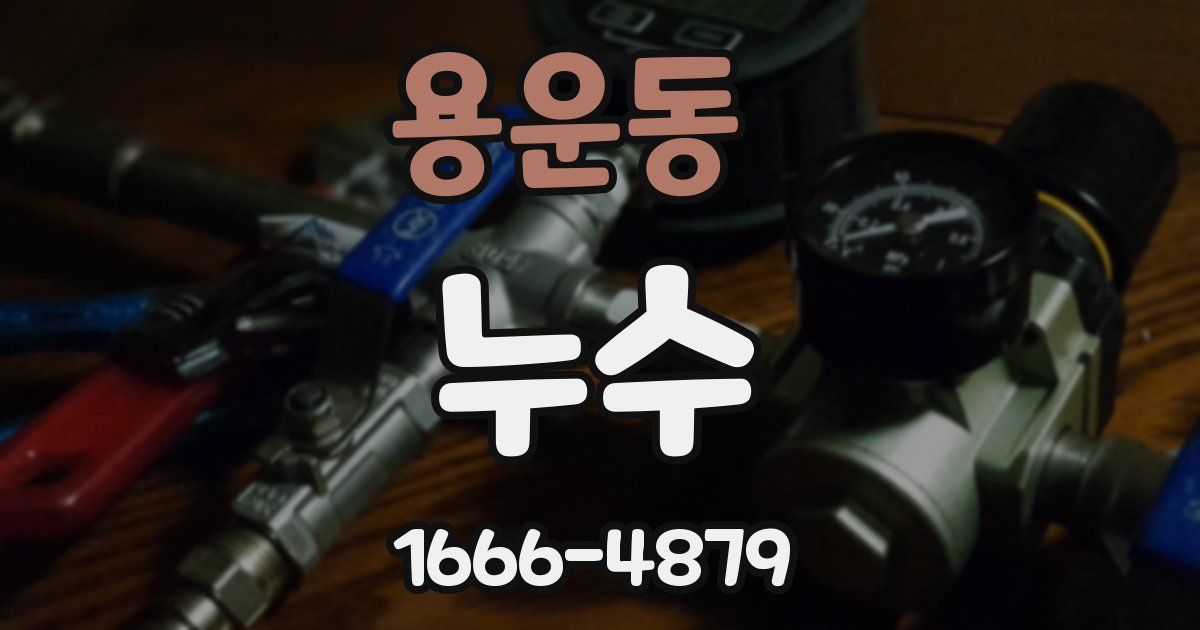 용운동 누수