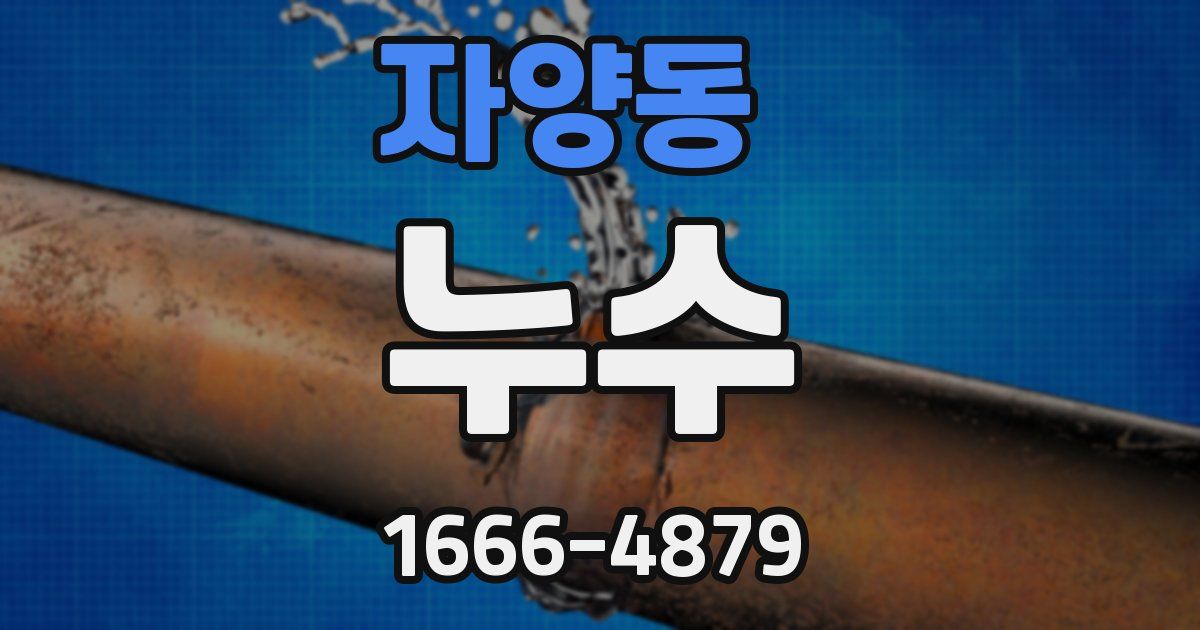 자양동 누수