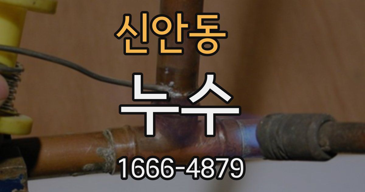 신안동 누수